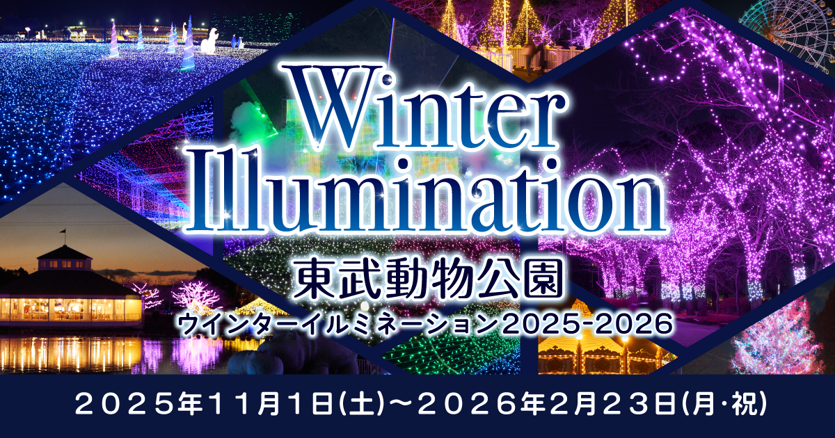 ウインターイルミネーション特設