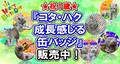 『コタ・ハク 成長感じる缶バッジ』販売中！