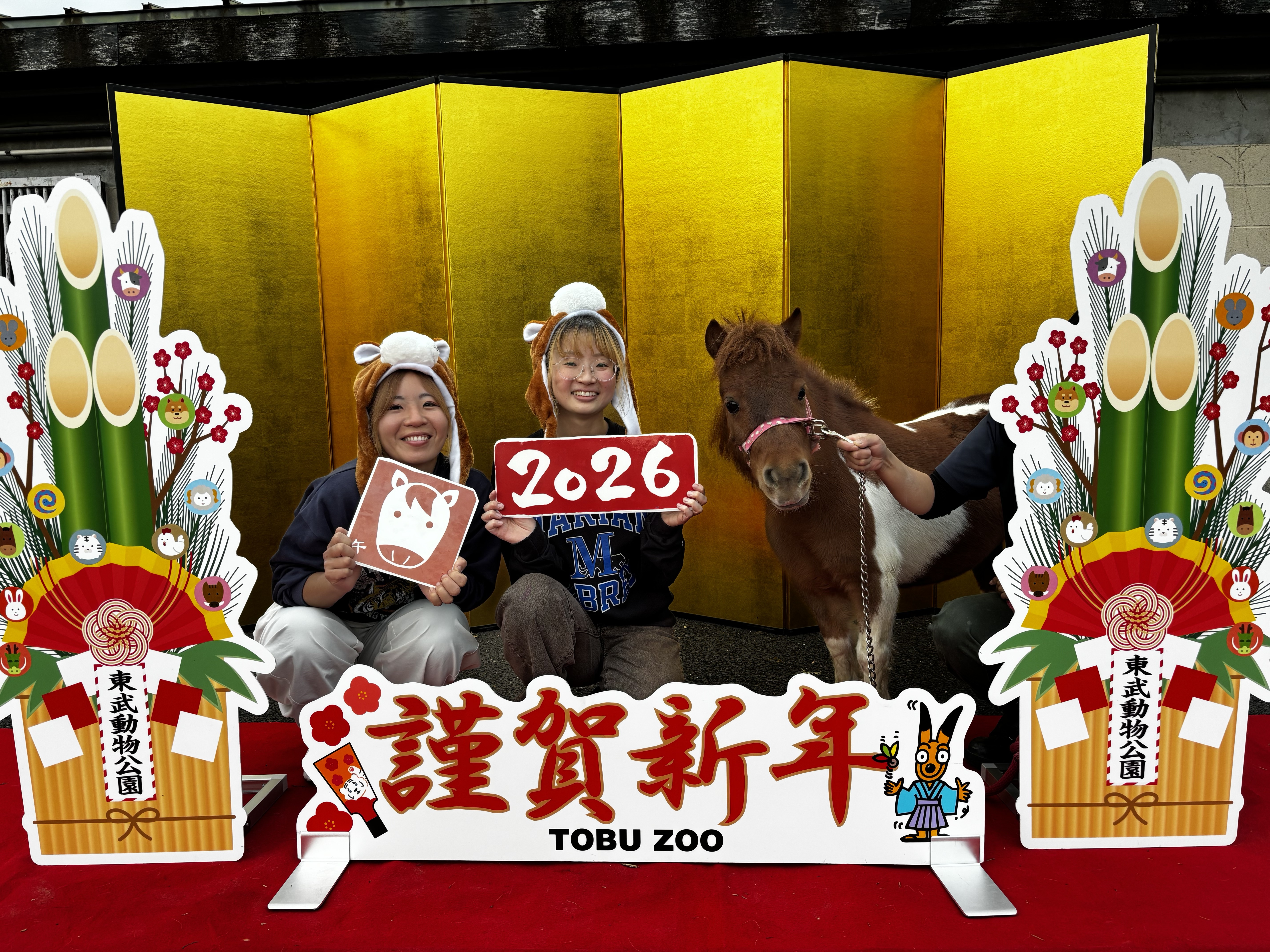 アニマルフォトスタジオ「ポニー記念撮影」