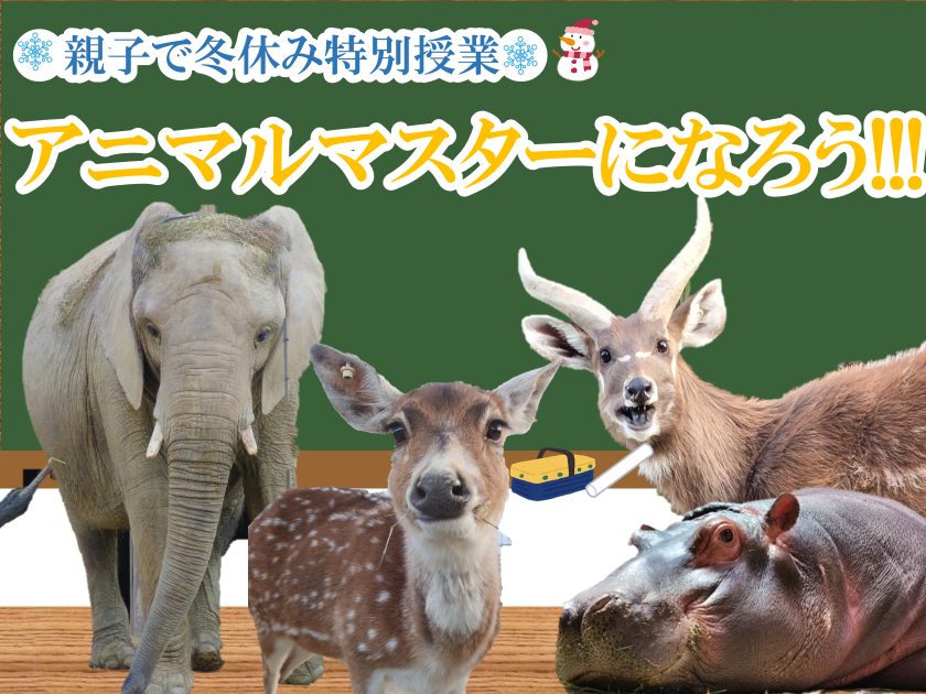 アニマルマスターになろう！