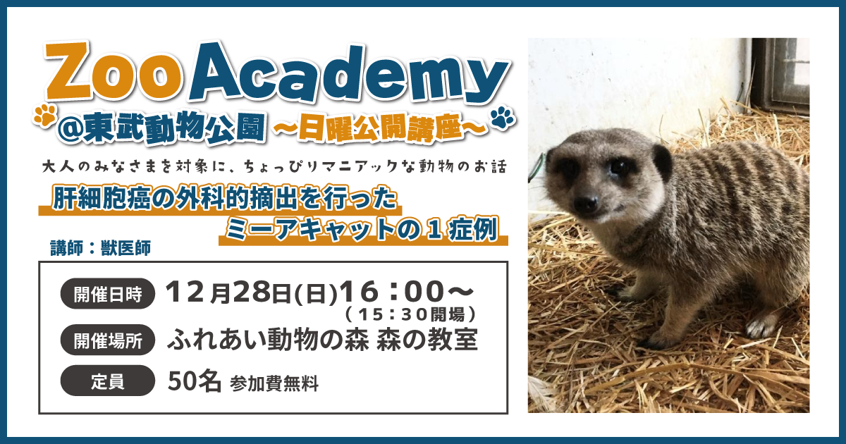 ZOOアカデミーバナー2025年12月 (PNG 510KB)