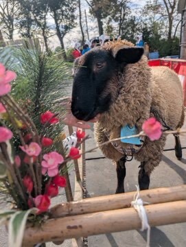 Happy Zoo Yearパレード