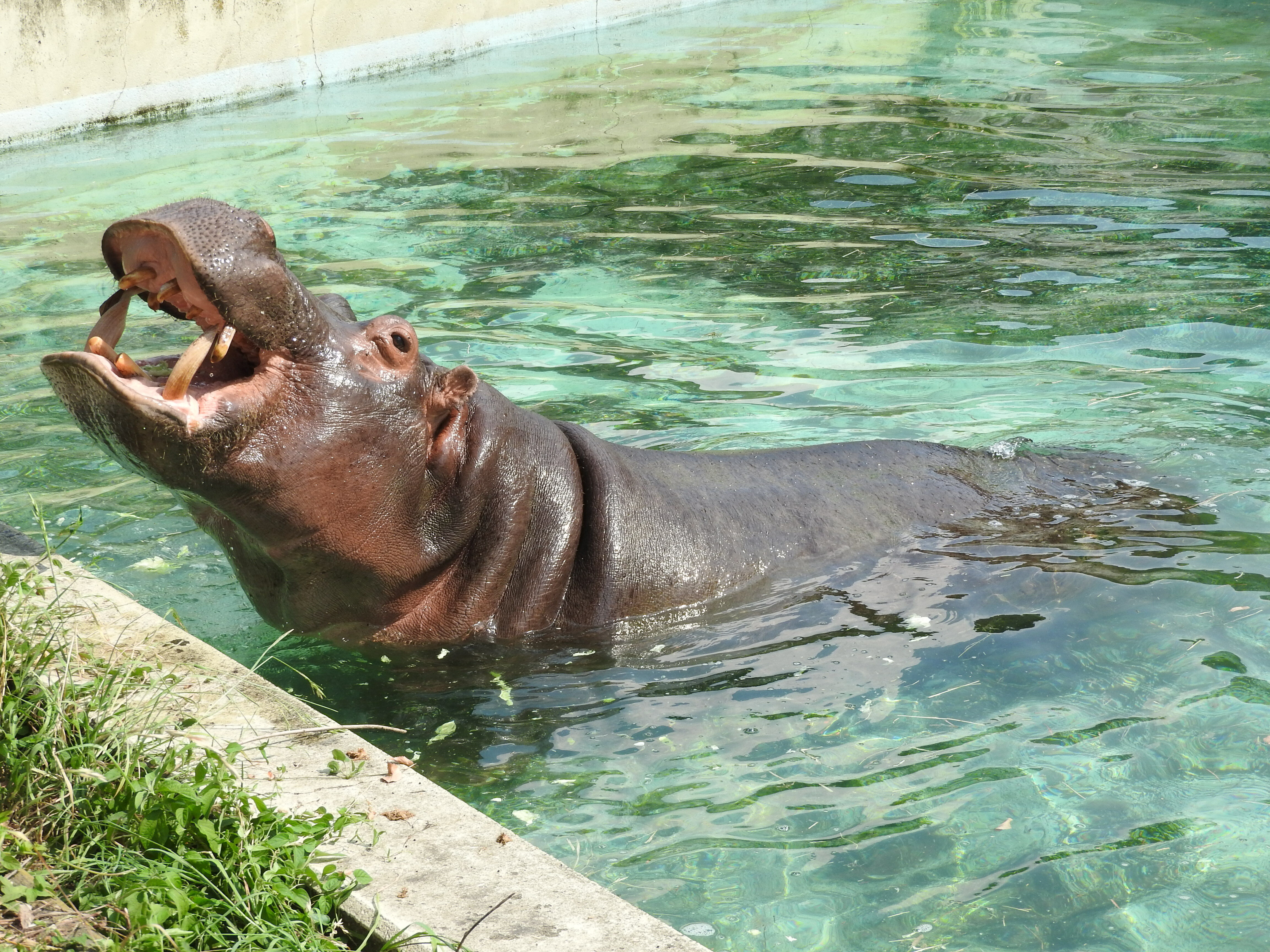 休園日特別イベント！プライベートZOO開催