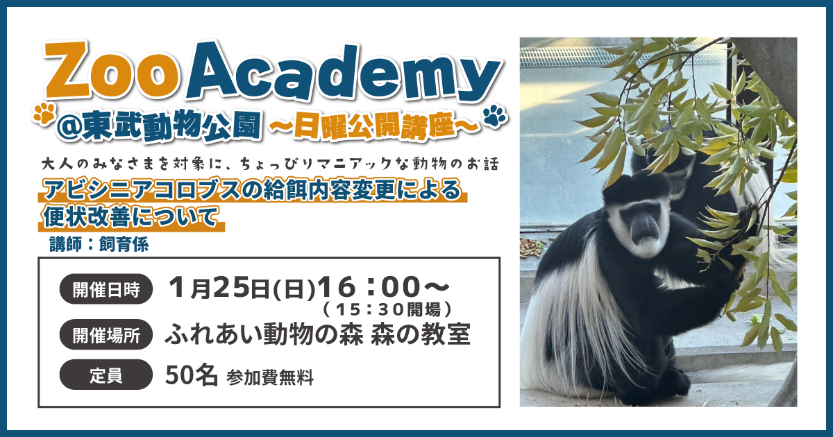 ZOOアカデミーバナー2026年1月 (PNG 520KB)