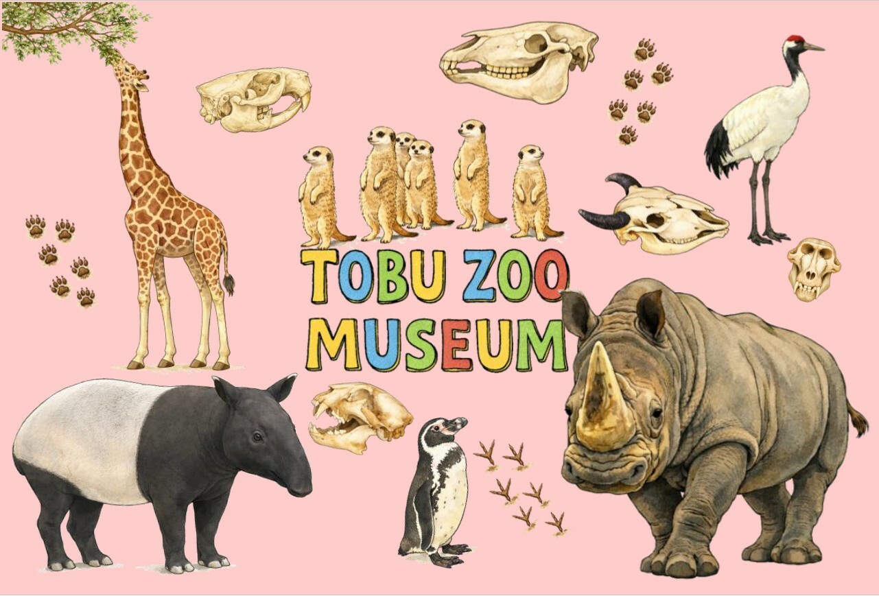 博物館登録特別展示「どうぶつのからだ×しごとのヒミツ」オープニングセレモニー