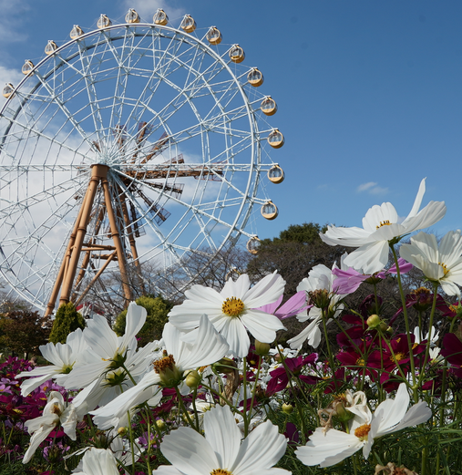 テストインスタ２