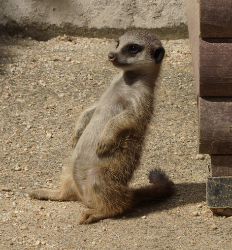 テストインスタ３