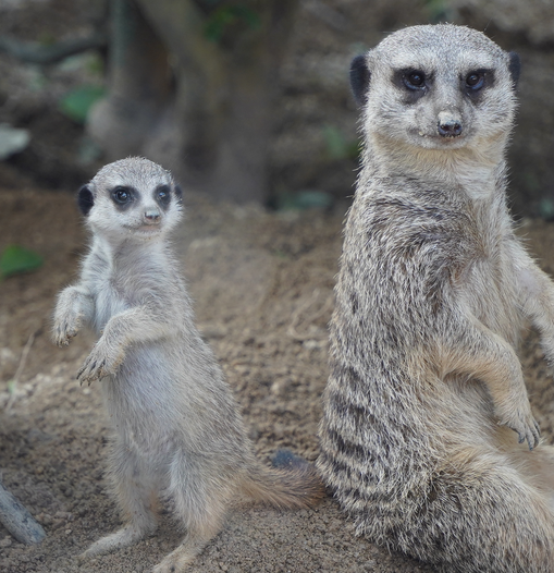 テストインスタ４