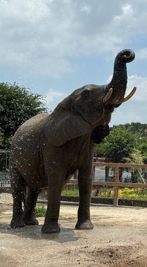 テストインスタ６