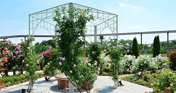 東武動物公園とは画像3