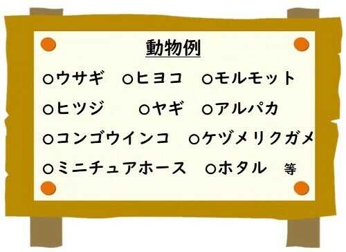 動物例.jpg