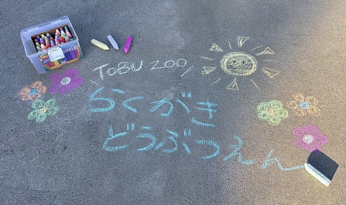 IMG_8473 (JPEG 630KB)