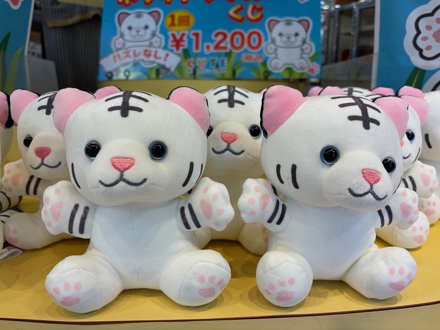 くじベビータイガー (JPG 229KB)