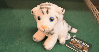 DSC_0016.png DSC_0016 (PNG 54.9KB)