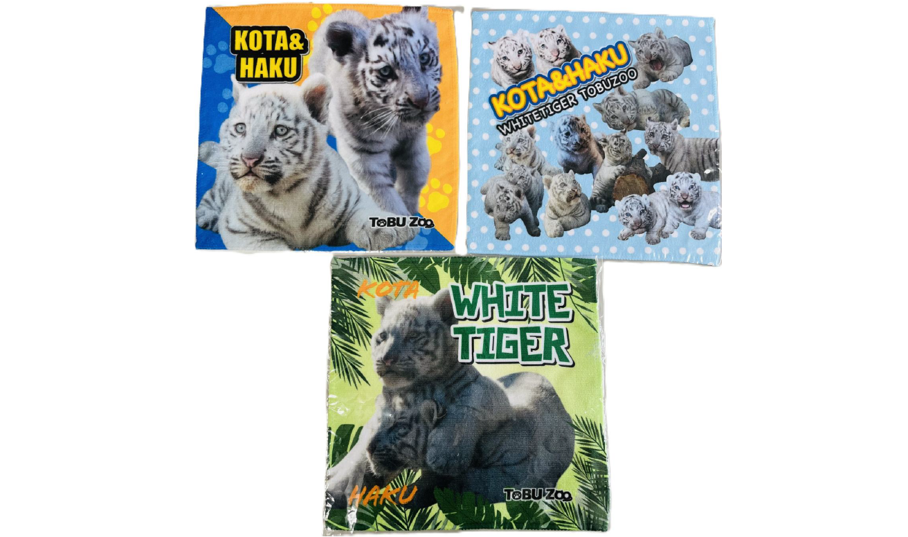 コタハクタオル (PNG 895KB)