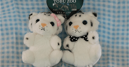 ____WT.png アベックWT (PNG 56.9KB)