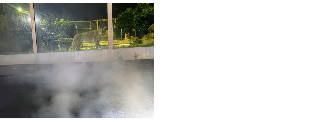 新規 Microsoft PowerPoint Presentation (3).jpg