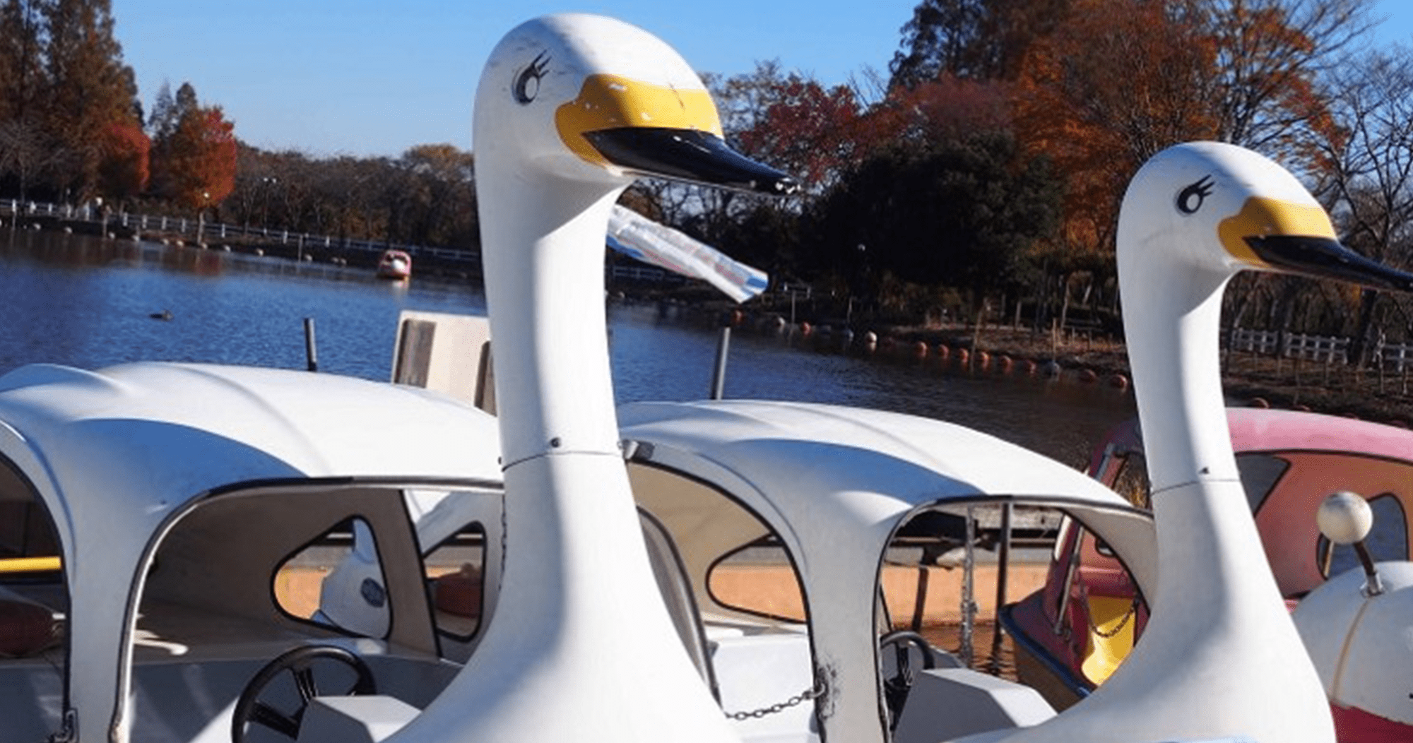 ボート(サイクル)