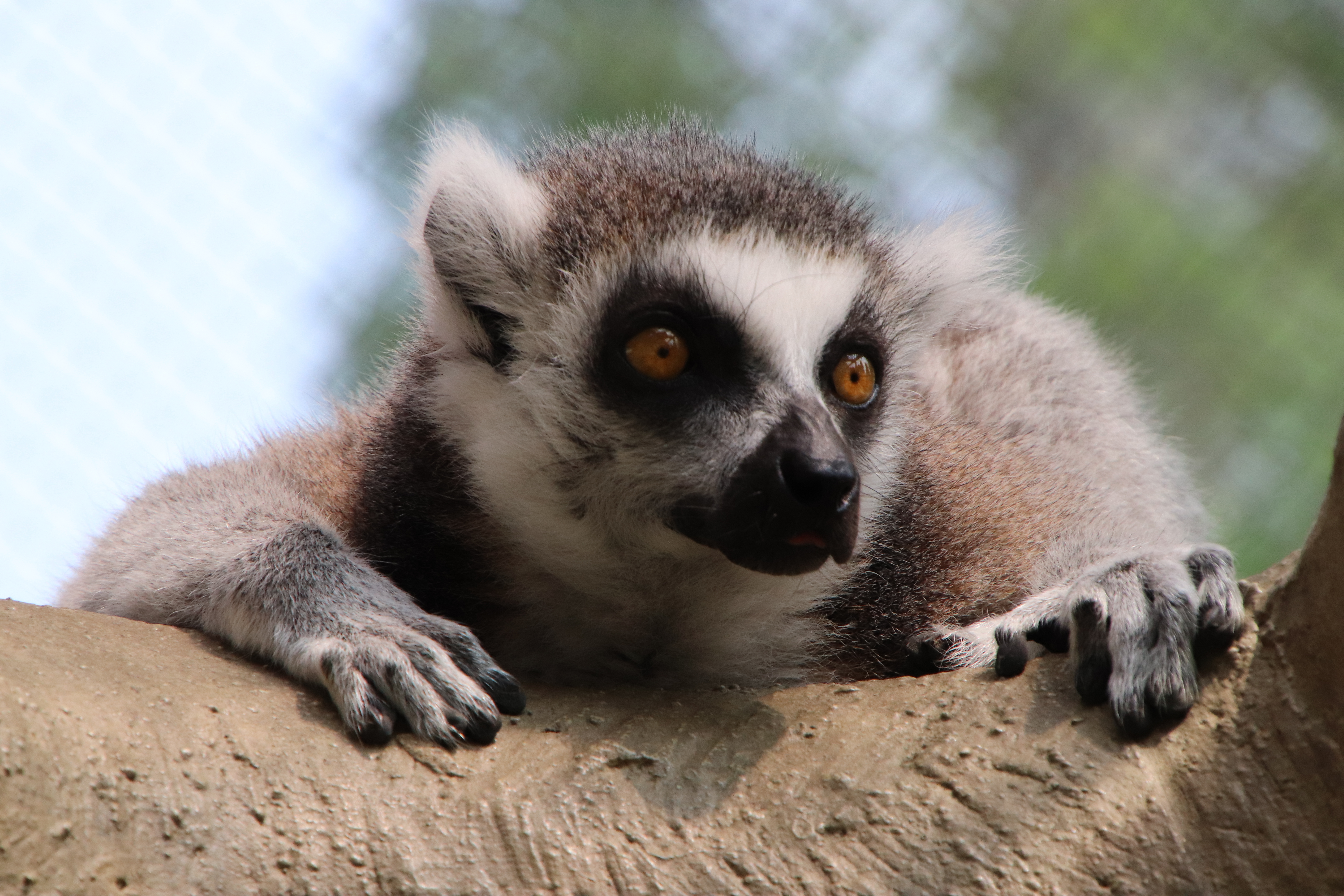 IMG_4730 コピー (JPG 8.09MB)