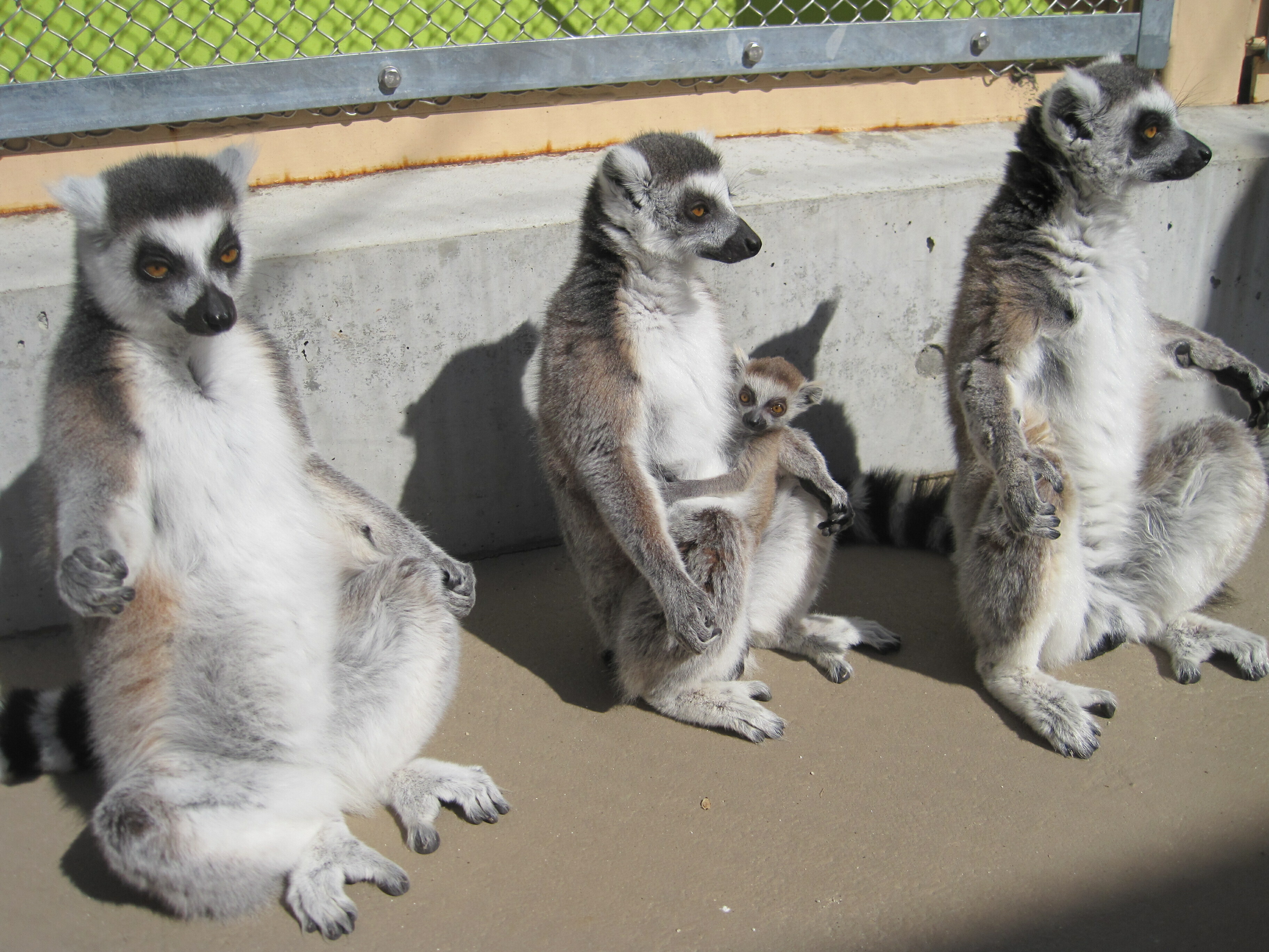 IMG_6846 (JPG 2.04MB)