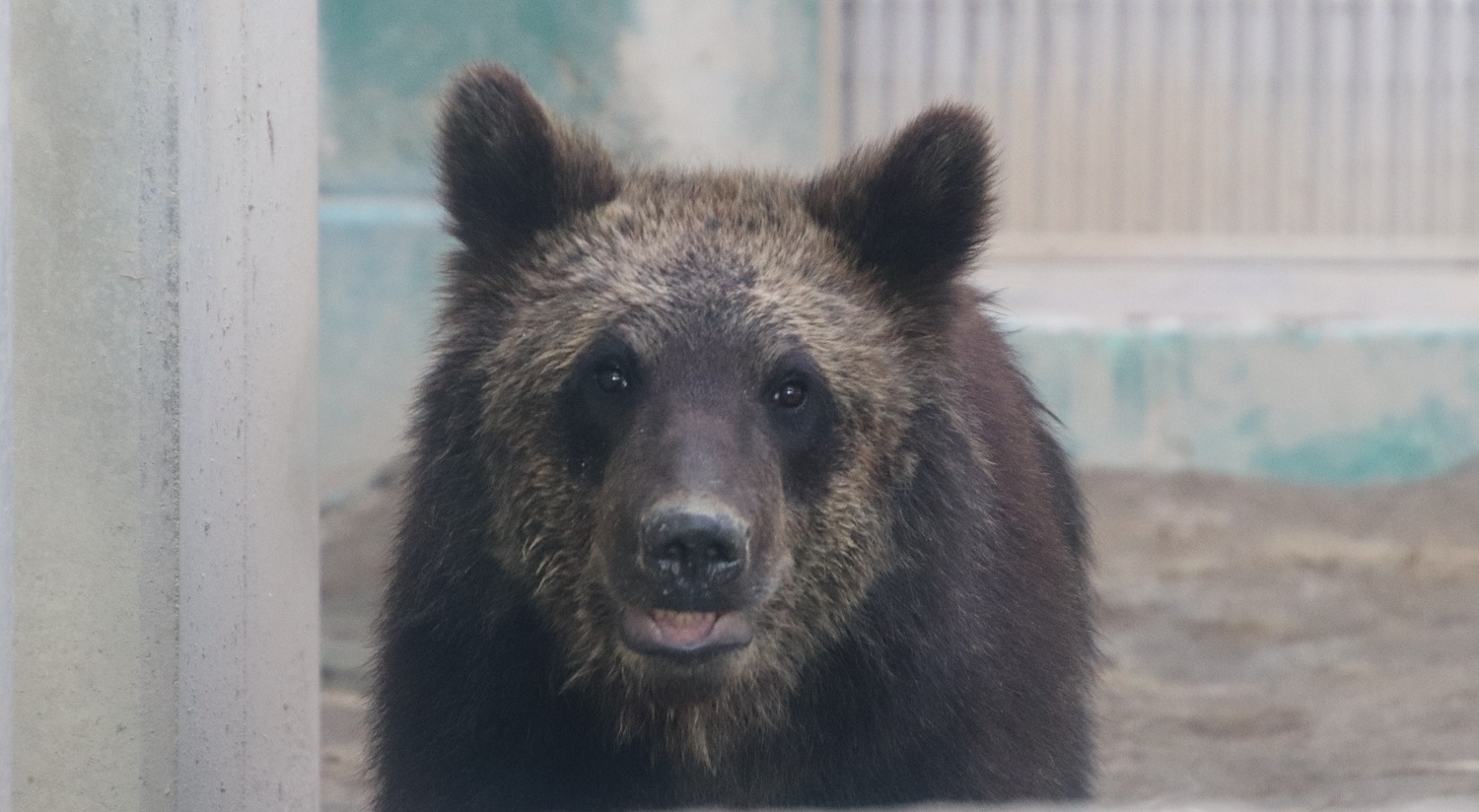 ウメタロウ (3) (JPG 314KB)