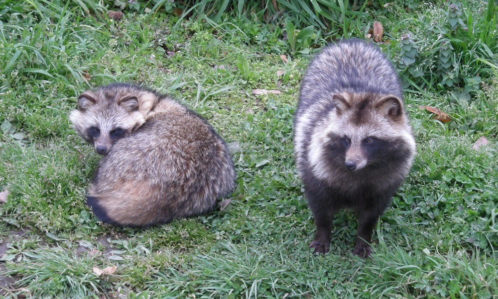 DSCN7046 (JPG 367KB)