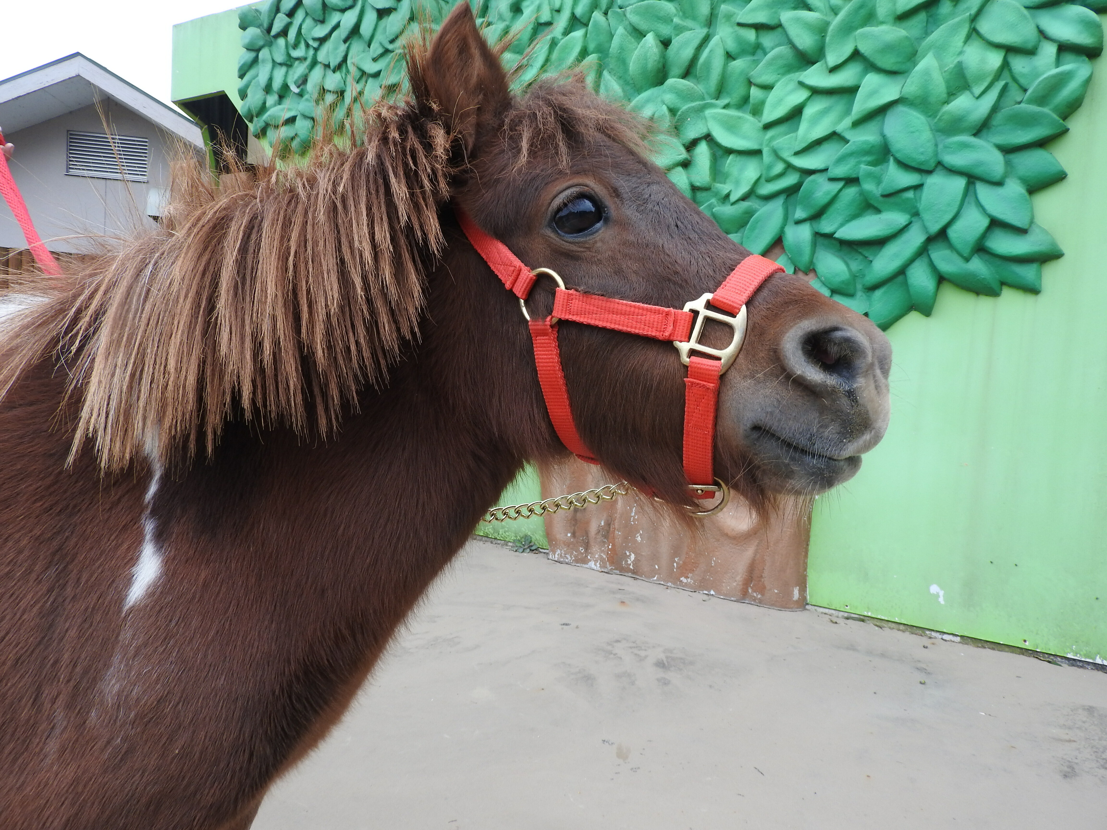 DSCN3119 (JPG 3.02MB)