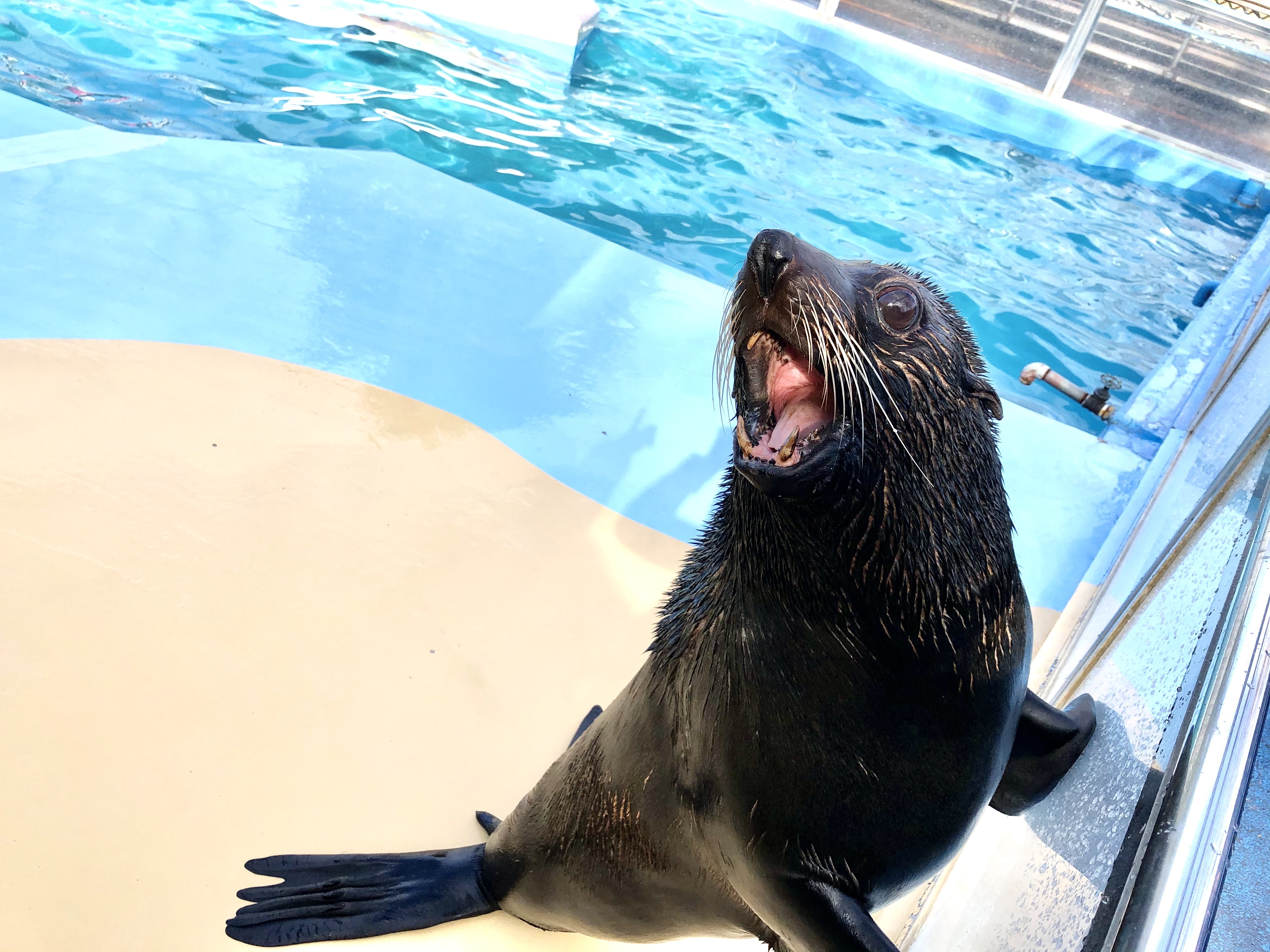 メテオ (JPEG 3.08MB)