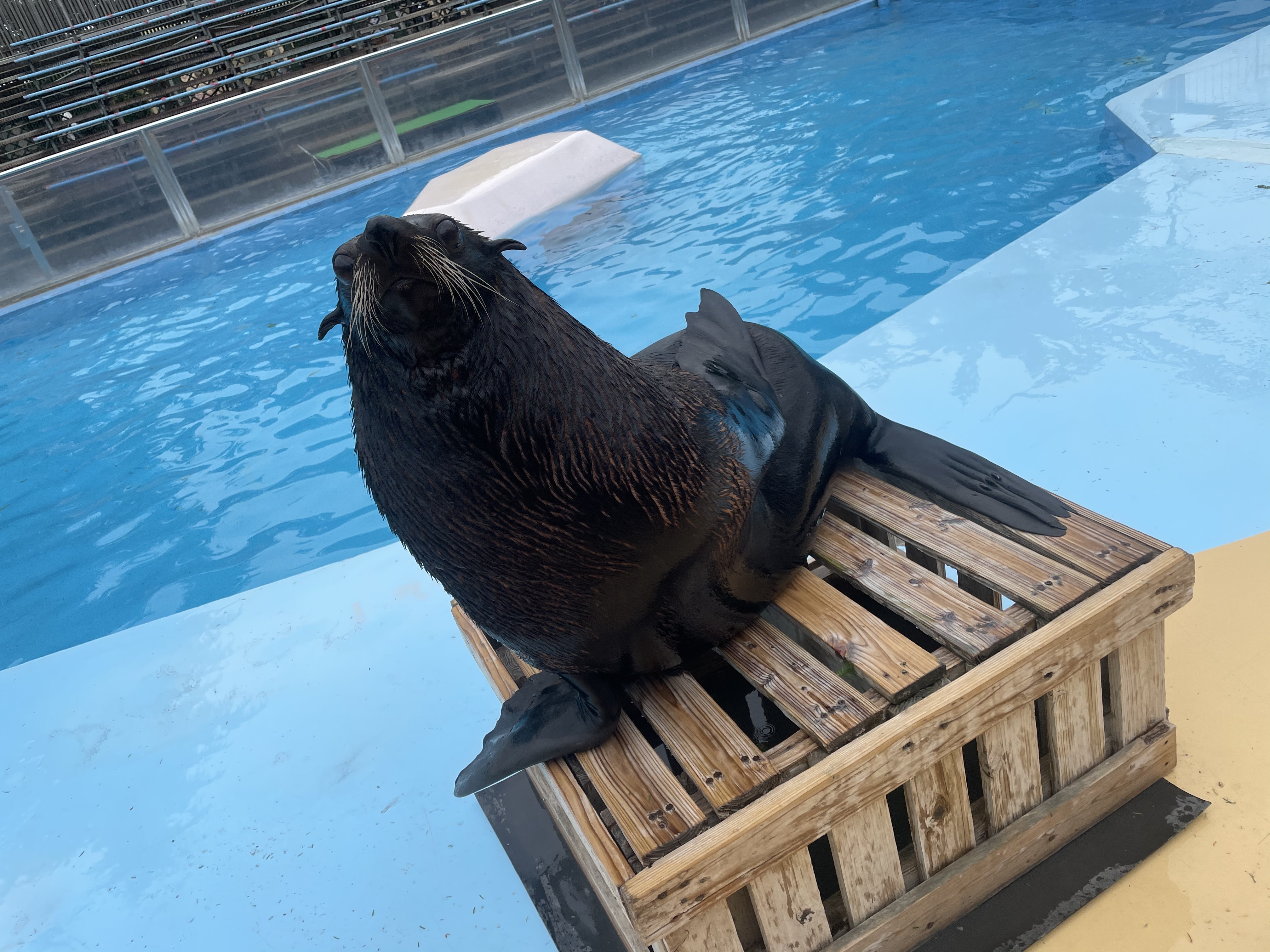 メテオ1 (JPEG 3.5MB)