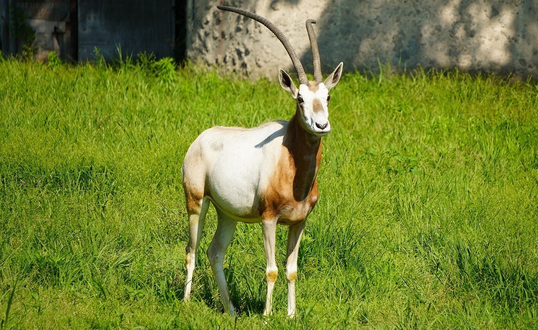 DSC03995 (JPG 427KB)