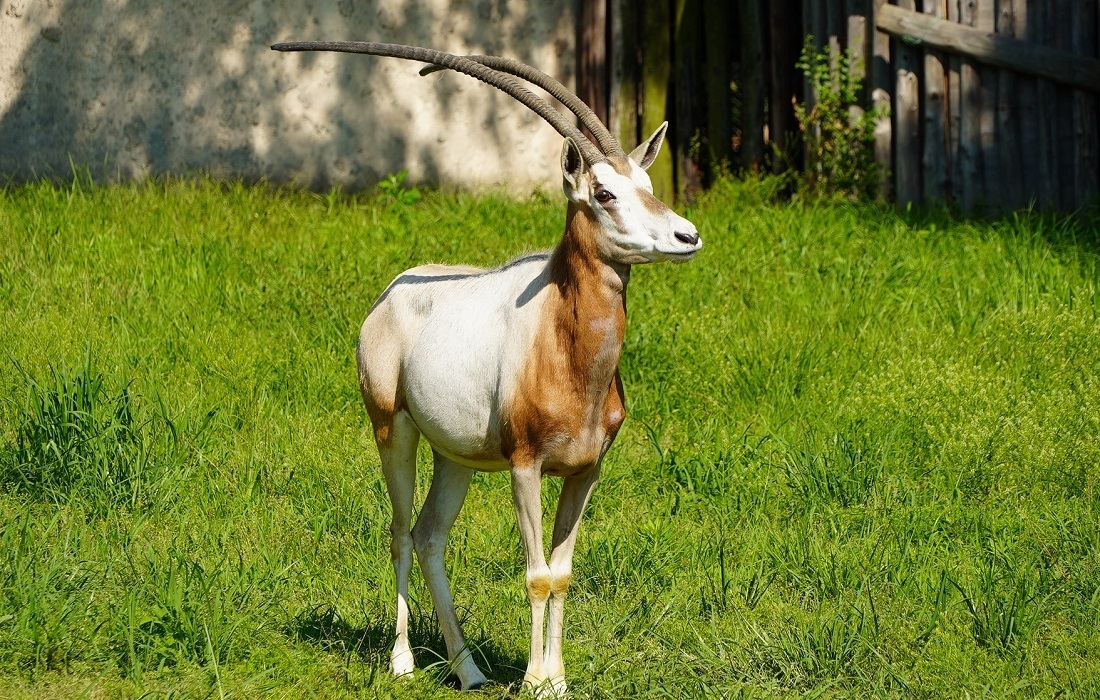 DSC04002 (JPG 534KB)