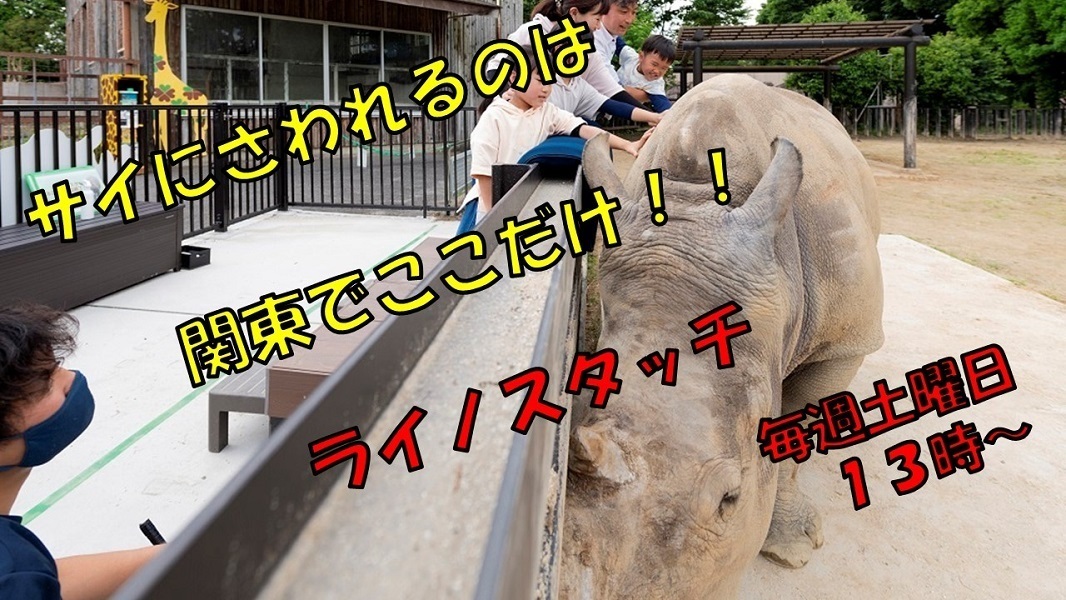 プレゼンテーション1 (JPG 269KB)