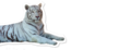 0_ep_1616921754.png