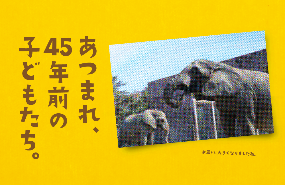 45周年バナー-04.png