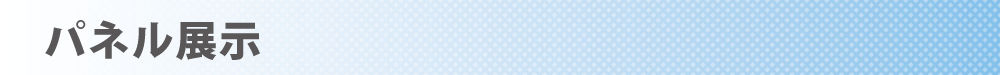 ブルアカHP用タイトルバナー_パネル展示.png
