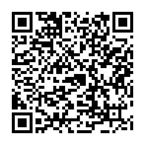 オットセイ 名前投票QRコード.png