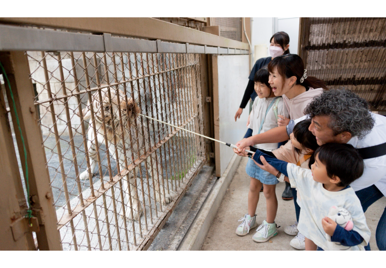 ホワイト (PNG 925KB)