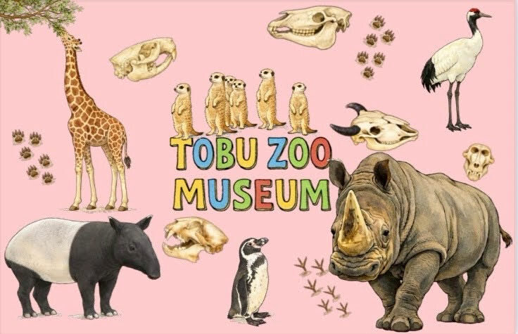 4AEBD4A5-8B2F-412E-A296-F97BAD4D2AC2 (JPEG 77.7KB)