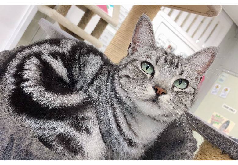 ダウンロード (15).png