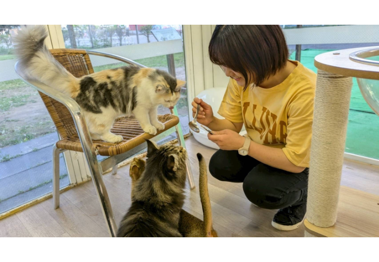 ダウンロード (9).png