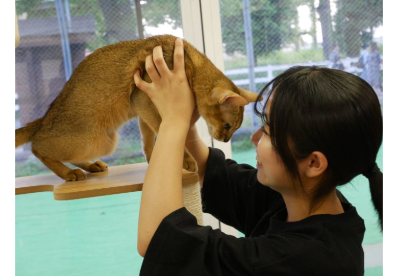 ダウンロード (10).png