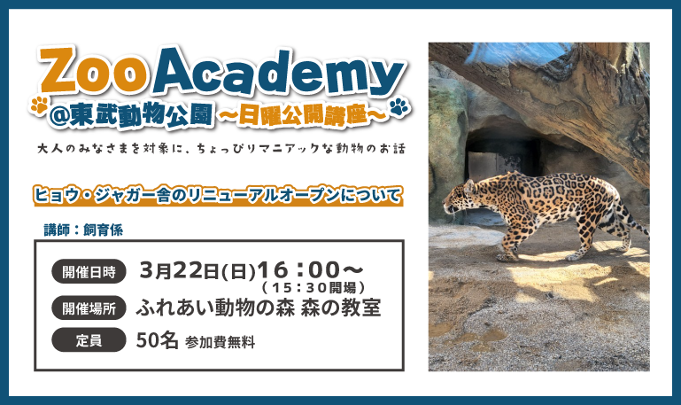 ZOOアカデミーバナー2026年3月 (PNG 274KB)