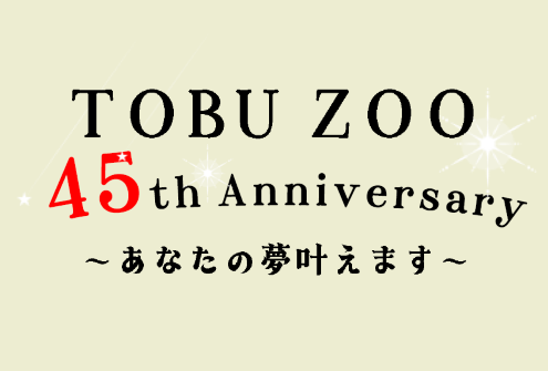 45周年企画　あなたの夢叶えます！