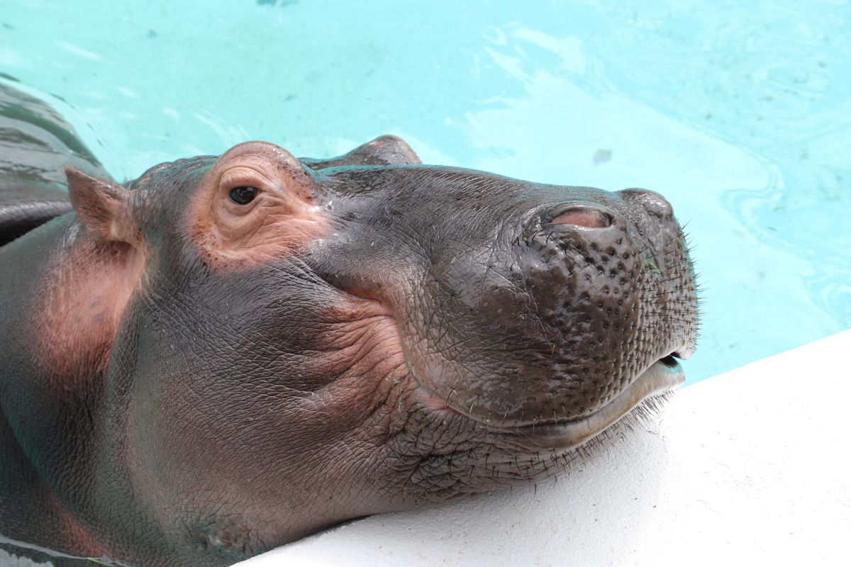 IMG_2986 (JPG 140KB)