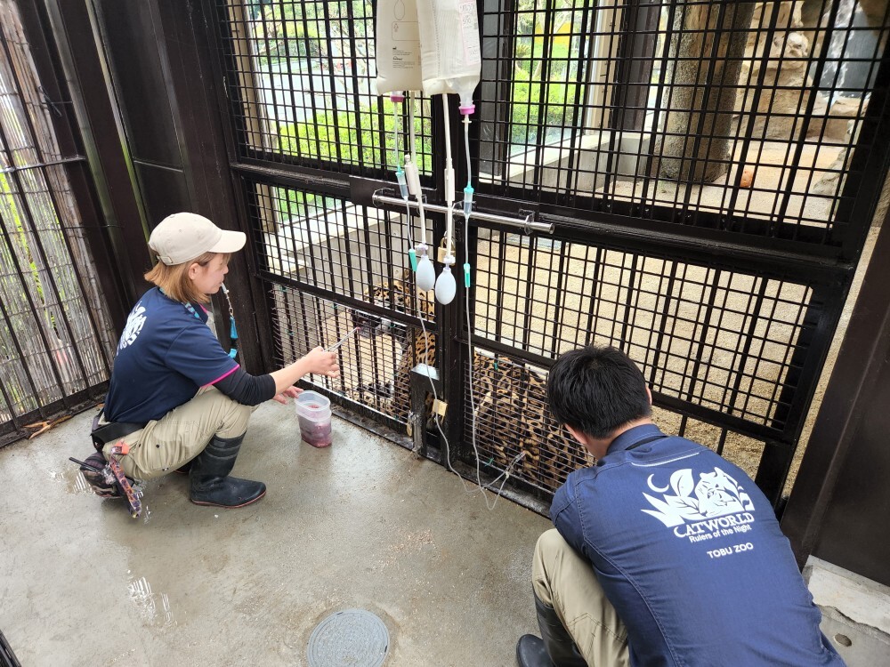 HP画像 (JPG 290KB)