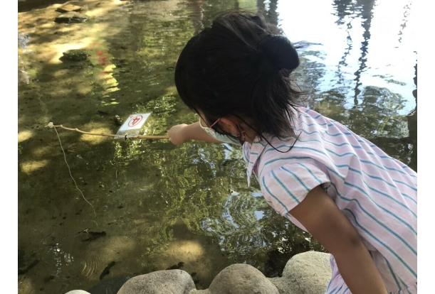 ザリ池パーク2026