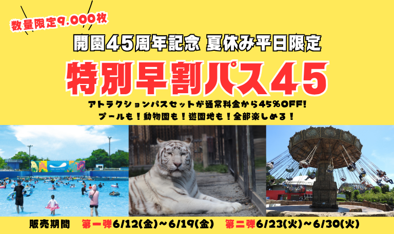 特別早割りパス45