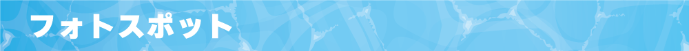 WCHP用タイトルバナー_フォトスポット.png