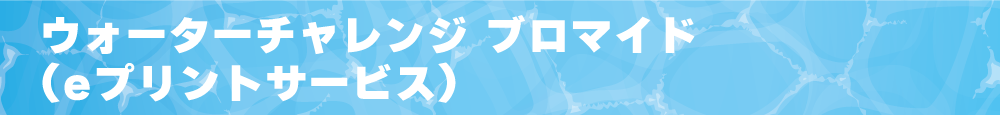 WCHP用タイトルバナー_eプリント.png