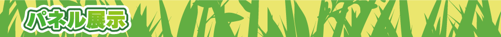 WCHP用タイトルバナー_動物園コラボ-パネル.png